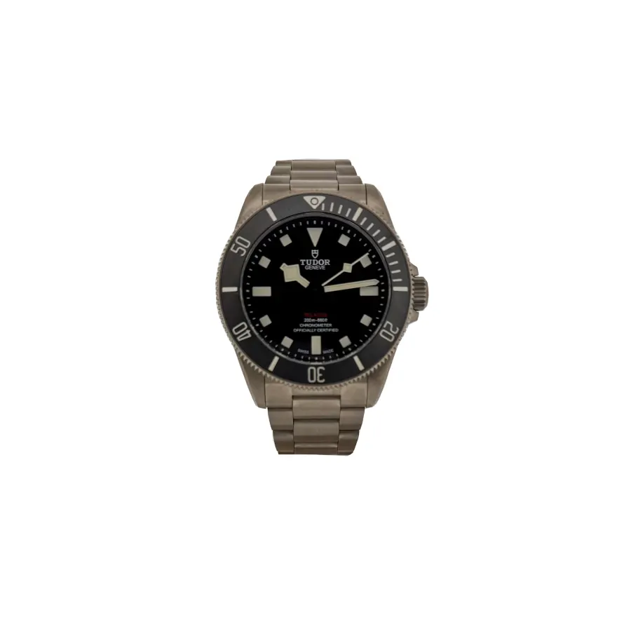 Tudor Pelagos 39 25407N.